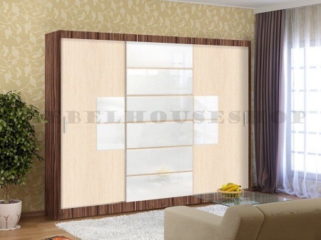 Шкаф-купе Эконом-21