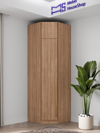 Угловой распашной шкаф Пакс 2