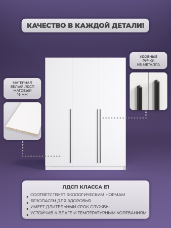 Шкаф распашной ПАКС 38