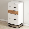 Комод LOFT WOOD 5