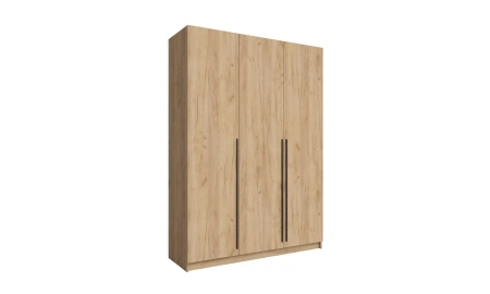 Шкаф распашной ПАКС 38