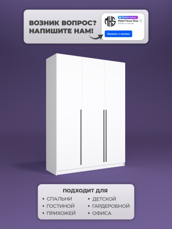 Шкаф распашной ПАКС 38